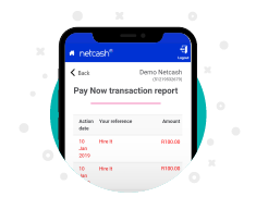 pay-now-transaction-report